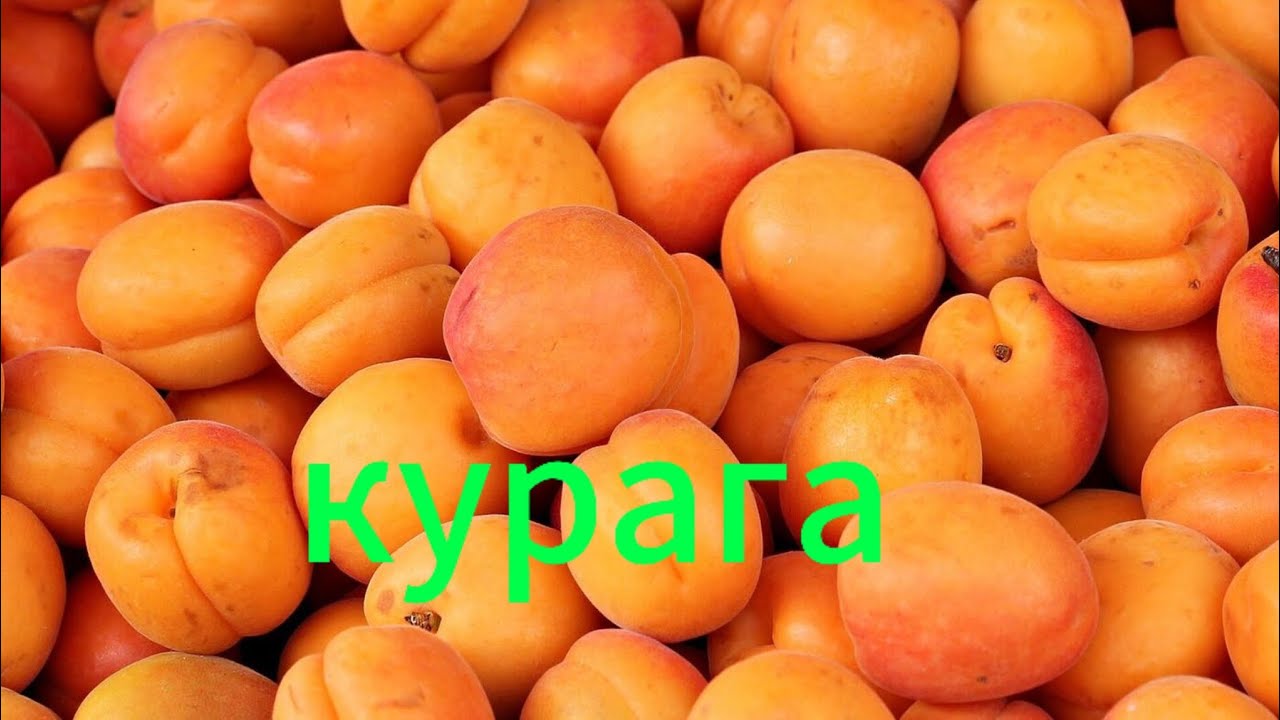 СУШИМ АБРИКОСЫ/ ВОССТАНАВЛИВАЕМ ПЮРЕ НА 100%