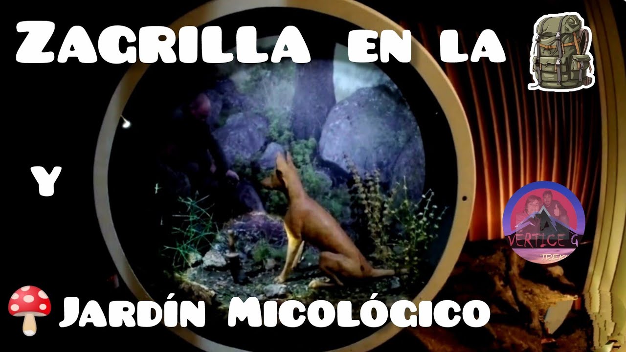 Zagrilla en la mochila 