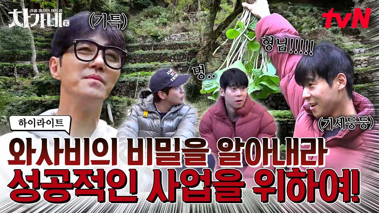 와사비 수확부터 요리까지! 풀코스로 정보 캐낸 차가네🌿이번엔 한탕 성공하나요~🤓 #highlight #차가네 EP.5