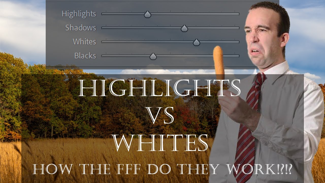 Highlights VS Whites Explained: How They REALLY Work Together