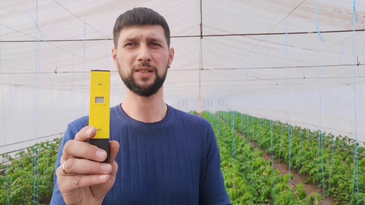 Подкормки томатов по фазам развития и электропроводность питательного раствора!