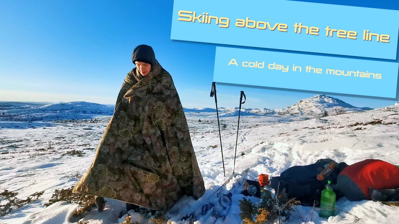 A cold day skiing above the tree line