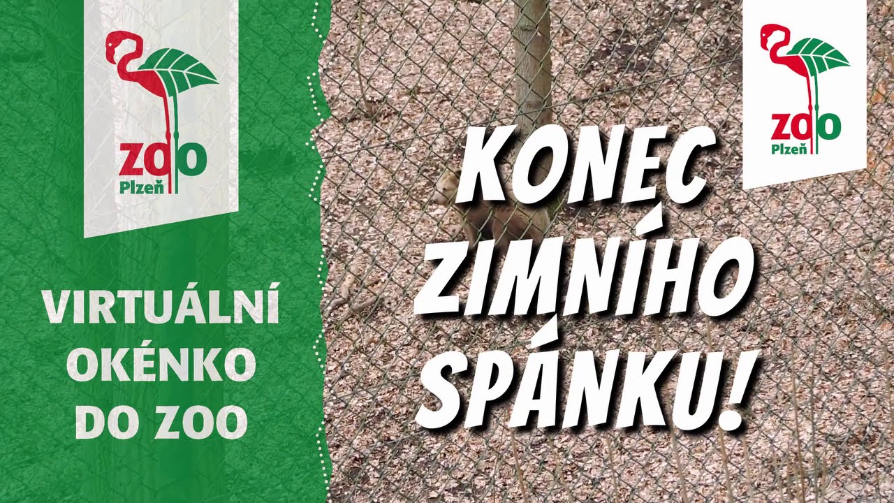 Medvědi z jara 2021