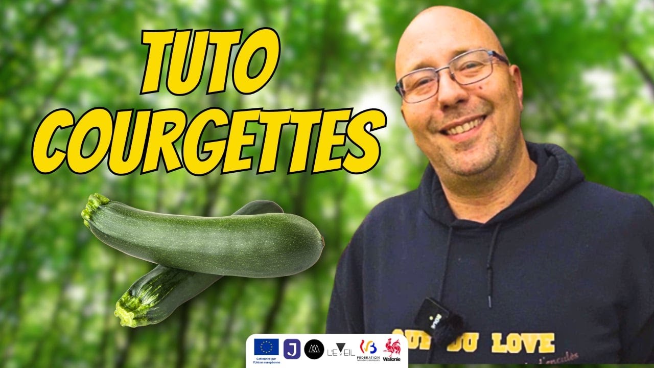 Tuto COURGETTES - Comment planter et réussir vos COURGETTES facilement !