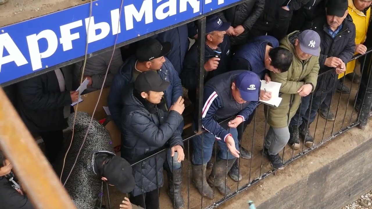 Жомартұлы Ернар ағамыздың елден бата алу кокпары 12-03-2023ж СПАТАЕВ ауылы