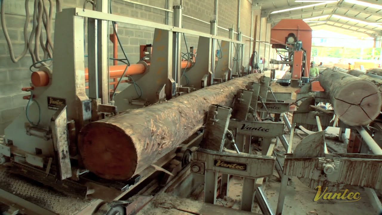 Serra Fita Tanden Eucalipto | Vantec