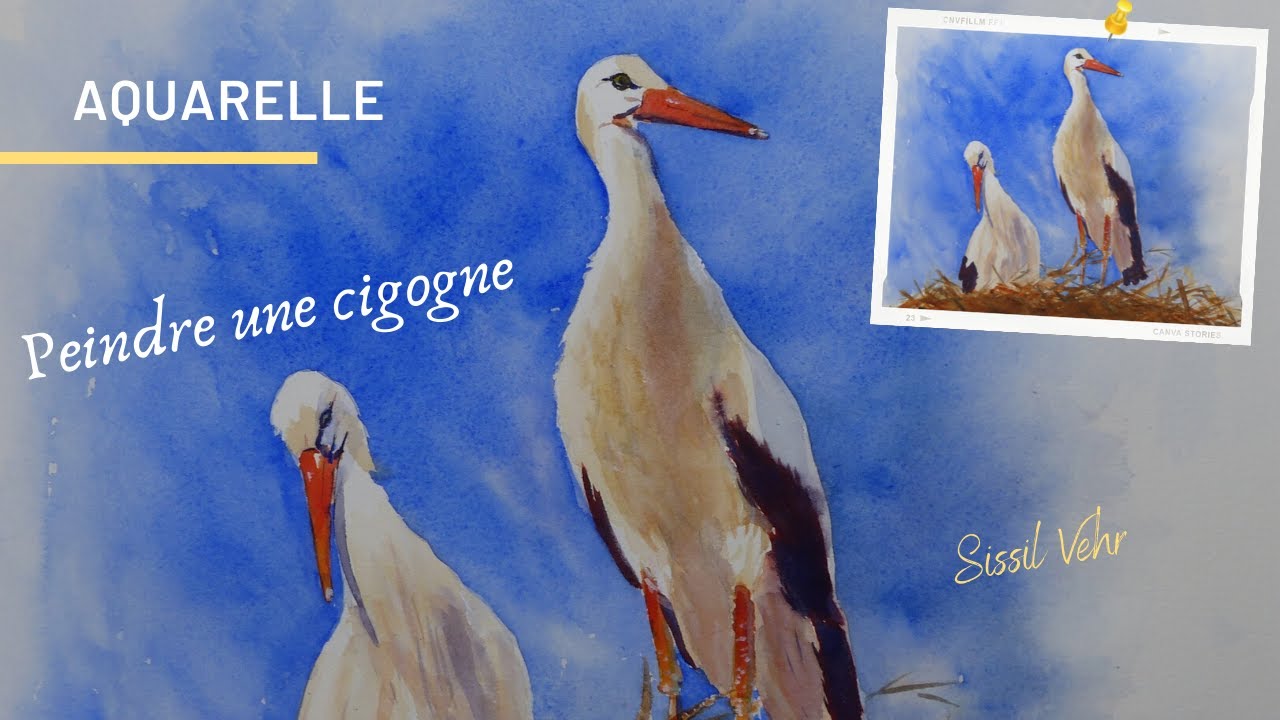 Aquarelle Débutant  : Cigognes d'Alsace