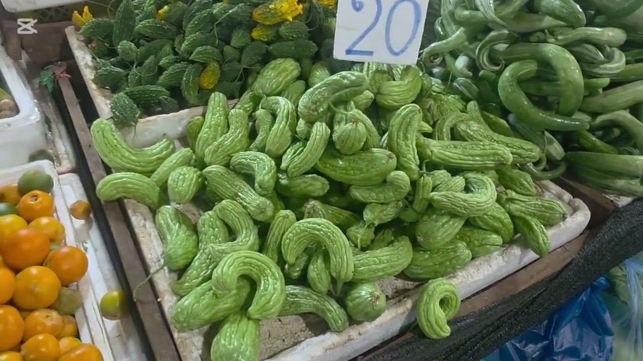 yuav zaub hauv lub ta laj loj tshaj 