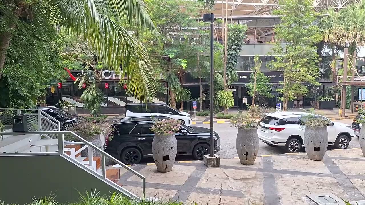 The Breeze - BSD City (Random Compilation)