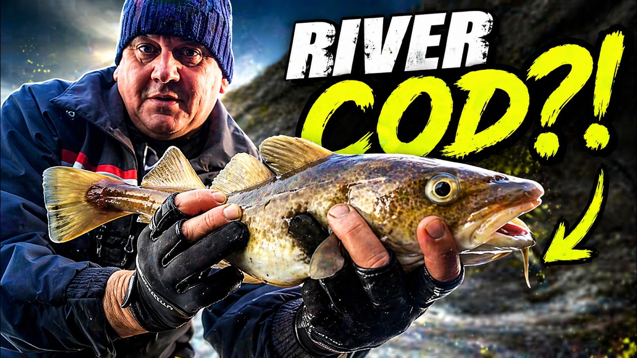 Cod fishing 🐟 in the river mersey.