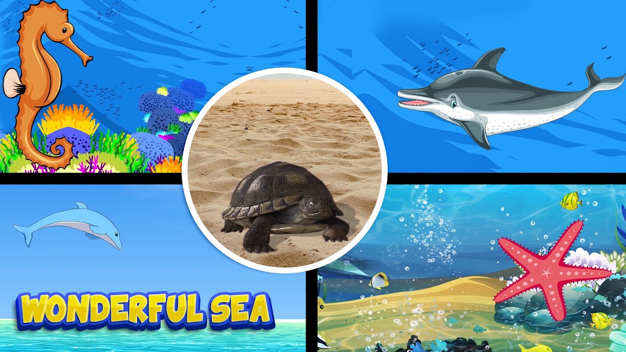 Wonderful Sea I 2nd std third term I English Rhyme I 2d animation