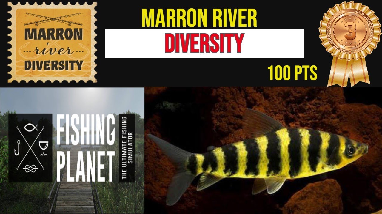Marrom River Diversity 3rd  place Fishing Planet competition