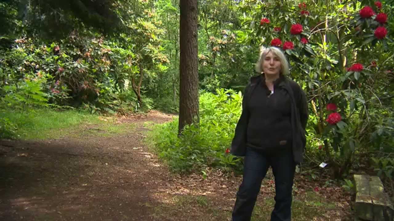 Jardin de Normandie : les jardins de Clairbois