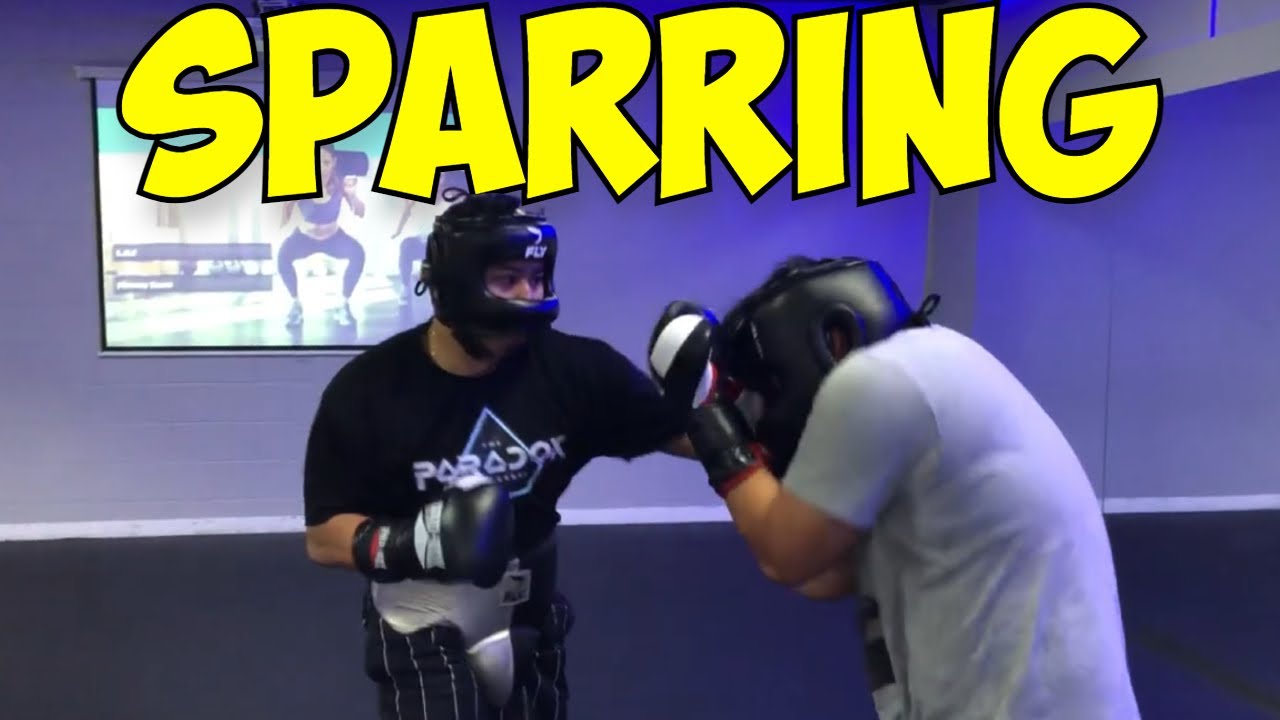 All Salt Papi Sparring Footage... Sparring Pro boxer, Brother, Boxing Coach
