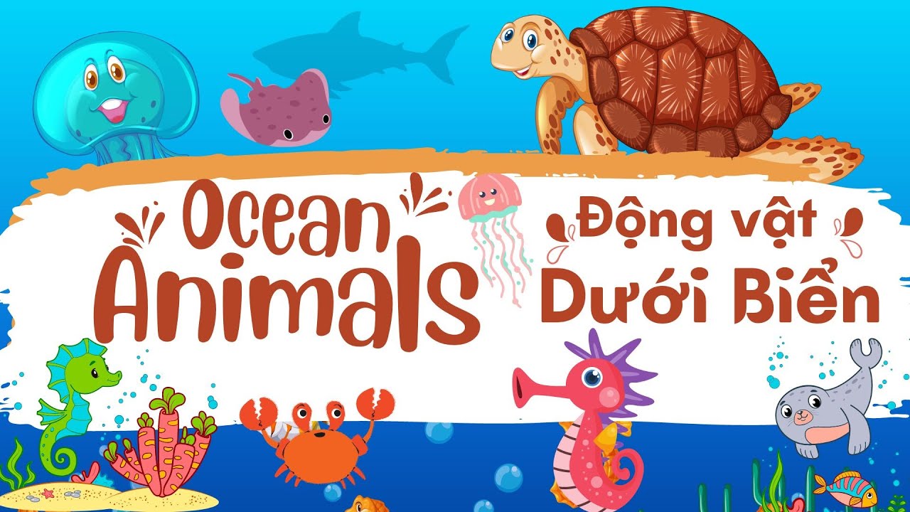 Con G&igrave; Đ&acirc;y | C&aacute;c Con Vật Sống Dưới Biển | Ocean Animals | Song Ngữ