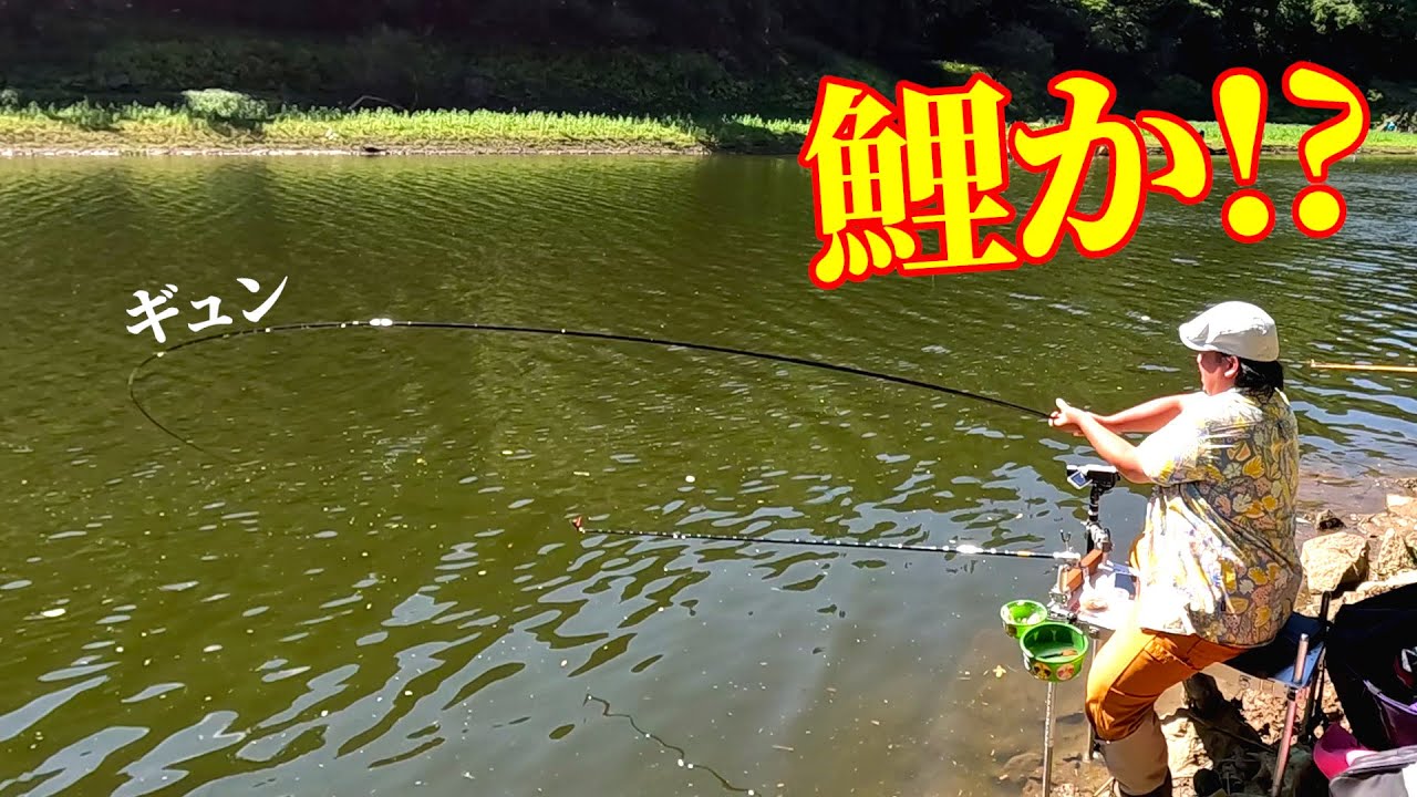 鯉か！？ダムでめちゃくちゃ元気な魚を釣って楽しむ！
