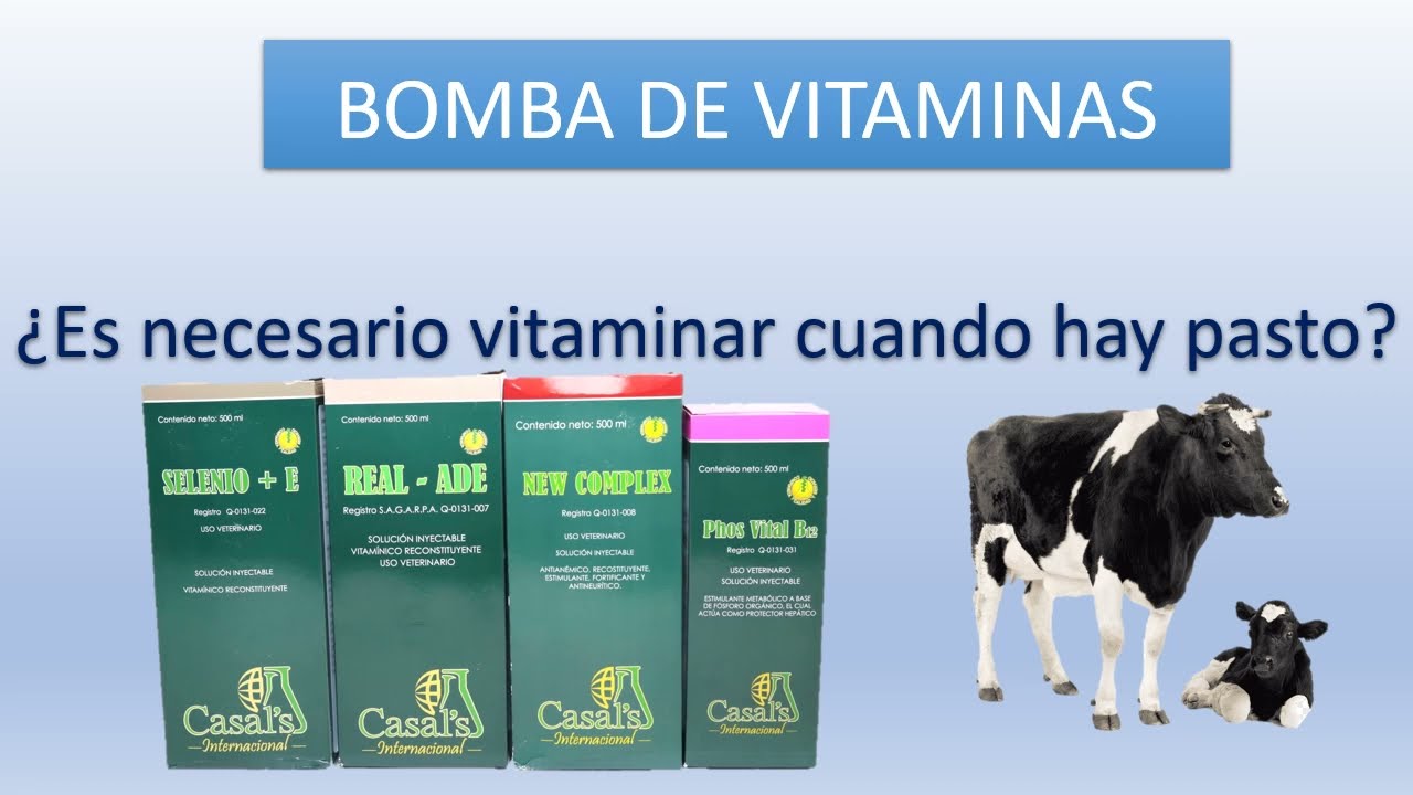 Bomba de Vitaminas ¿Cuando aplicarlo?