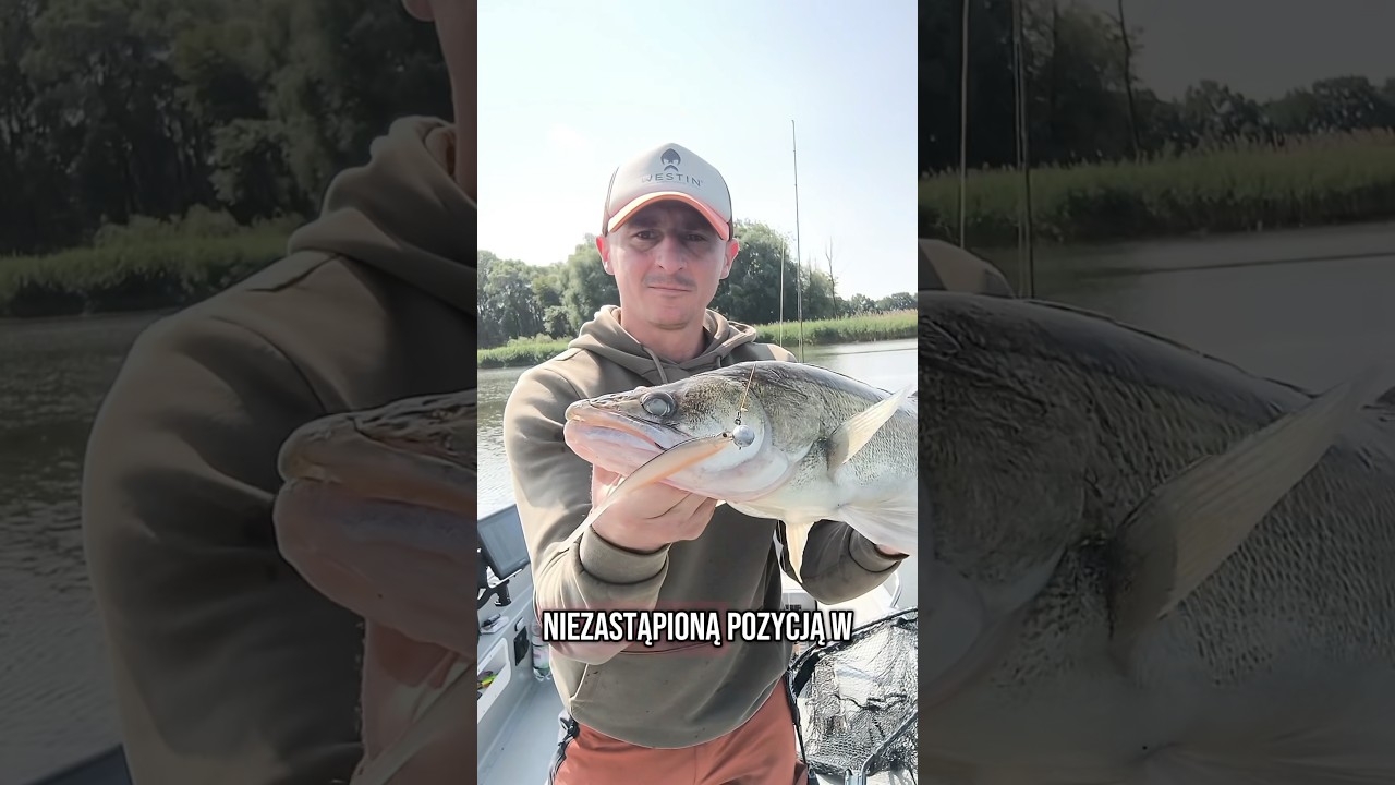 #ShadTeez #PinTail - to nowa wersja dobrze znanej przynęty okoniowo-sandaczowej