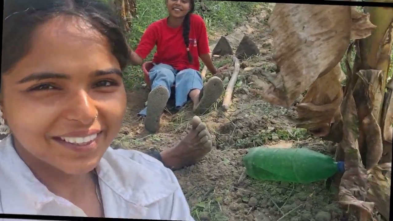 AAJ HAI HUMARA FARMING DAY HUM CHALE POTATO HARVEST KRNE APNE KHET ME | WE ENJOYED A LOT 