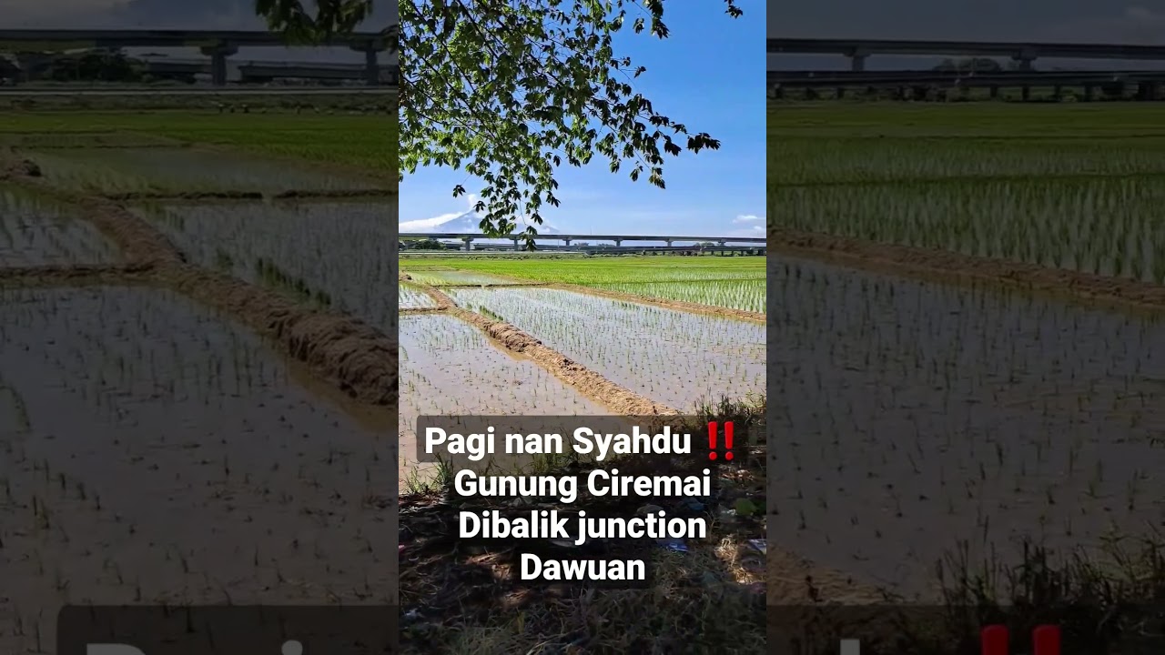 Suasana Pagi Junction Dawuan/Kertajati, Tol Cisumdawu #tolcisumdawu #cisumdawuterkini #tolcipali