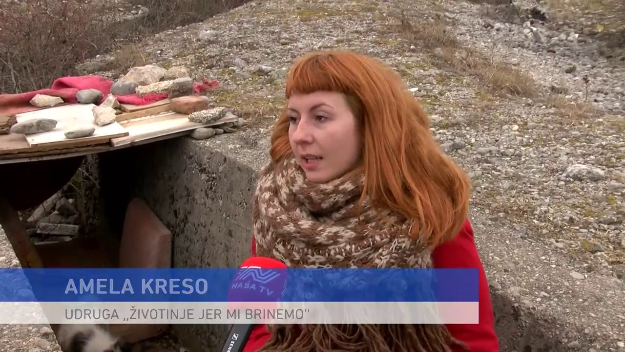 NAŠA TV | NAPUŠTENI PSI U BORBI S HLADNOĆOM