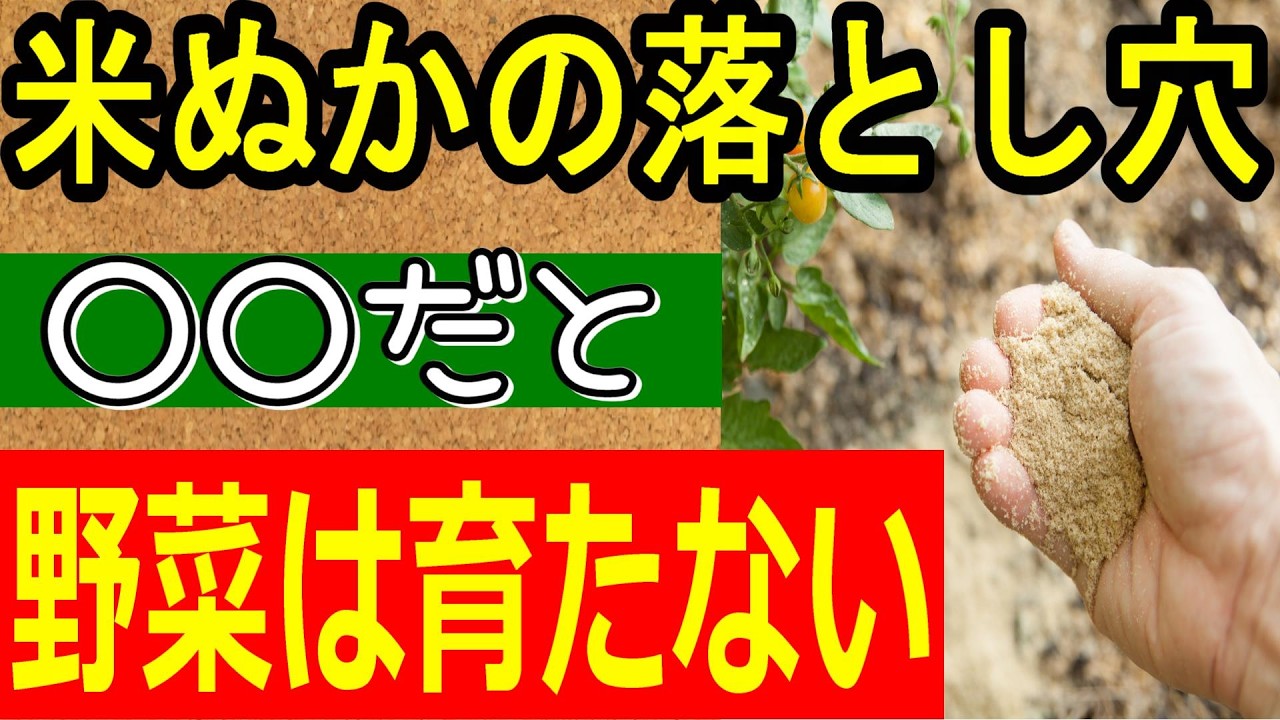 【注意！】畑の土作りで米ぬかを使用する際の注意点