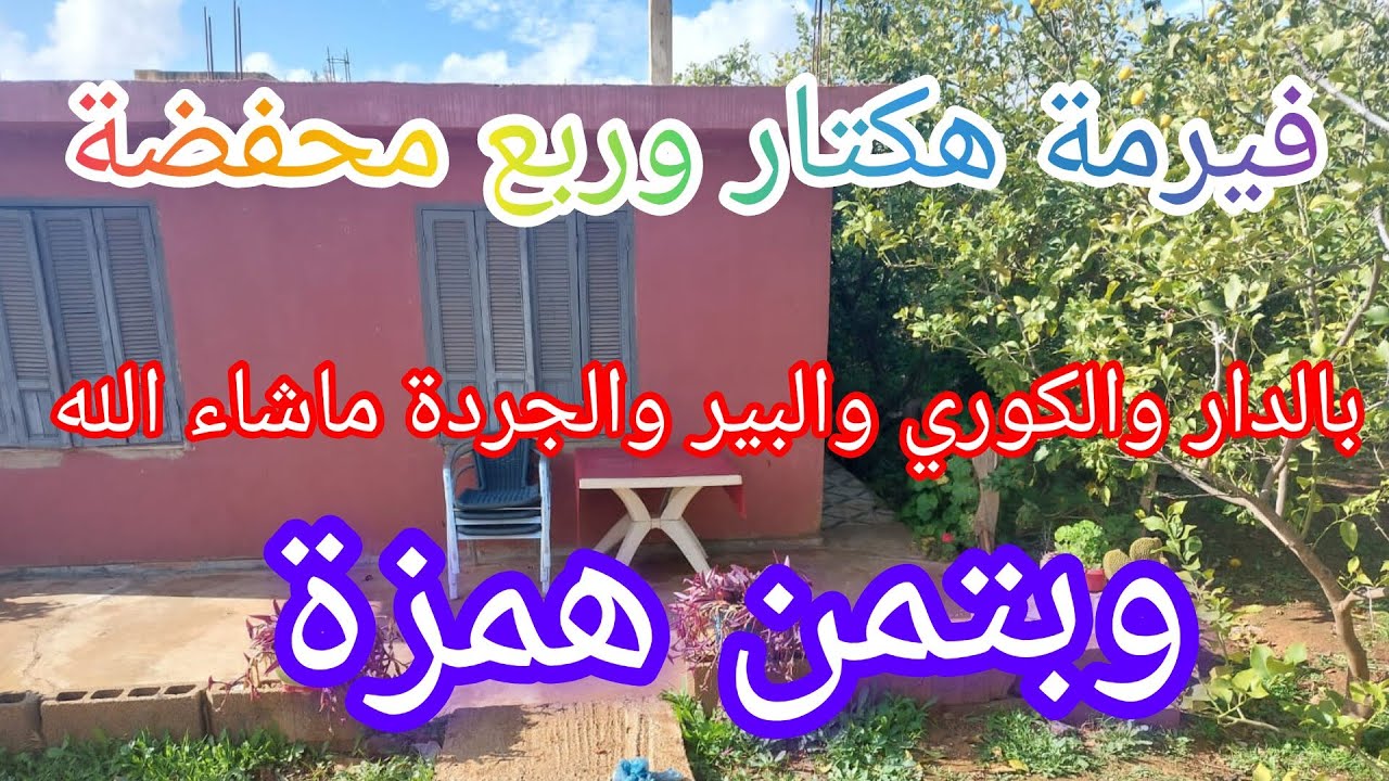 فيرمة هكتار وربع بالدار والكوري والبير محفضة 10كلمتر من مكناس وبتمن همزة @3a9aratchaykh