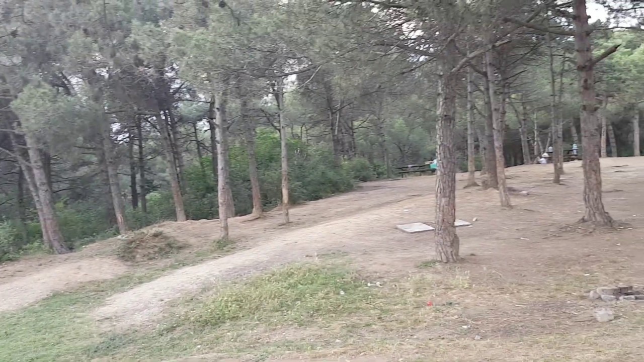 Arnavutköy Kayabaşı ( Mesire Piknik ) Alanı, Mangal Semaver serbest.