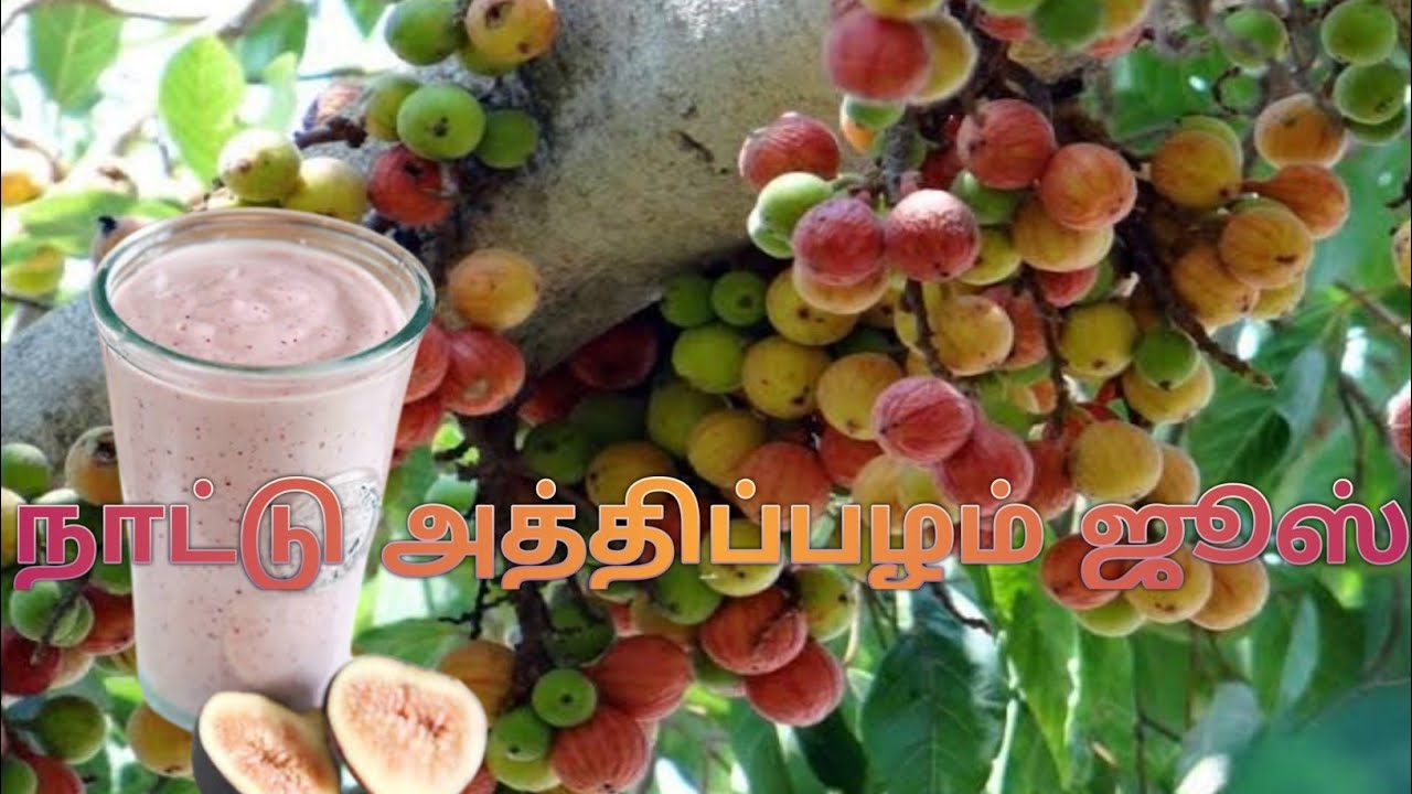 நாட்டு அத்திப்பழம் ஜூஸ் | Aththi palam juice | Nattu Aththi palam juice | Fig milk shake | Aththi