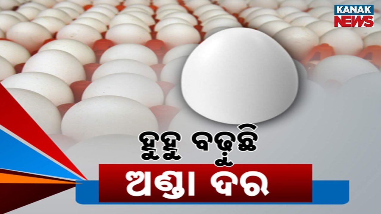 Egg Prices Skyrocket: Record High in 20 Years, ₹2 Hike in Just a Few Days!