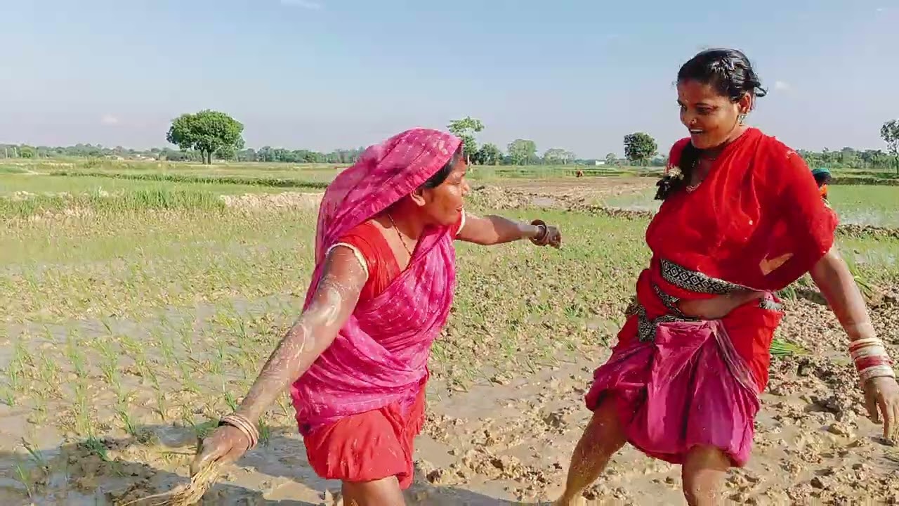 देखिए दोस्त साहब हम लोग धन के रुपए कर रहे हैं और दोनों देवरानी जेठानी में झगड़ा हो रहे हैं