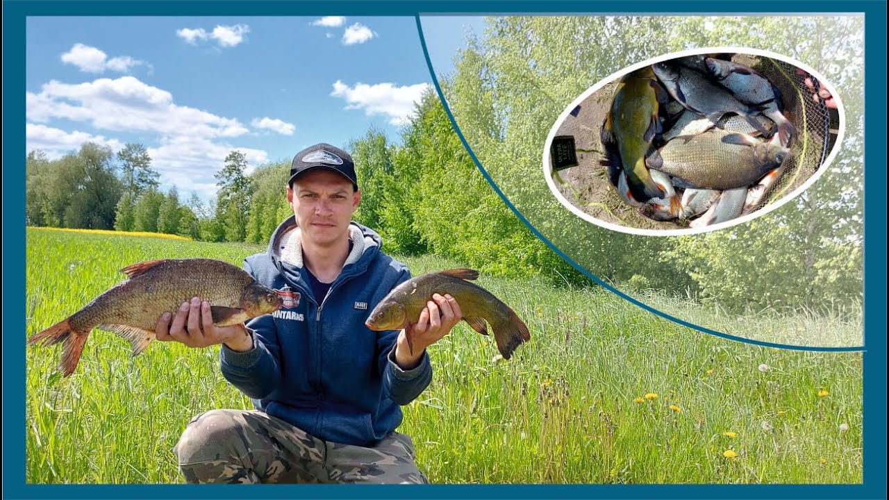 Karšis ir Lynas. Ankstyvo ryto žvejyba feederiu tvenkinyje | Marmax ir geras kliovas 🎣 || NEI ŽVYNO