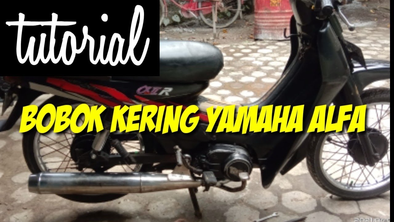 bobok knalpot alfa