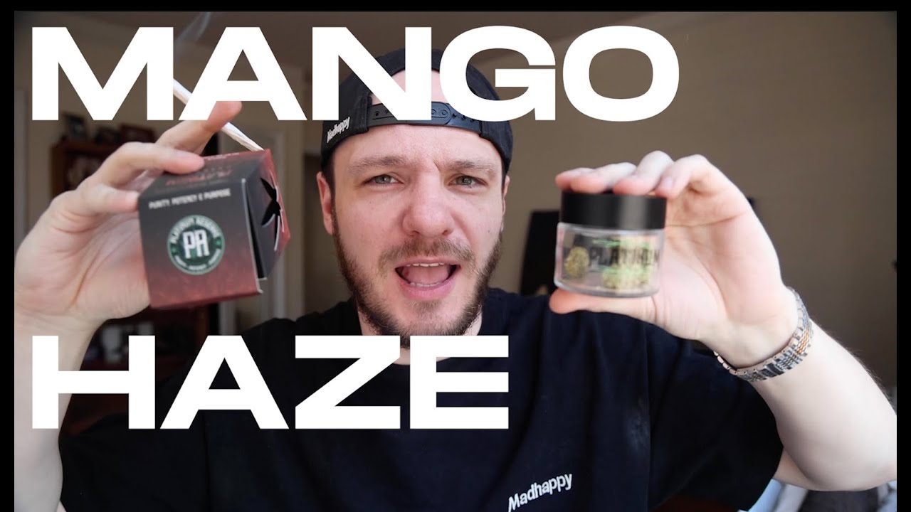 Mango Haze By Platinum Reserve  - Strain Review
