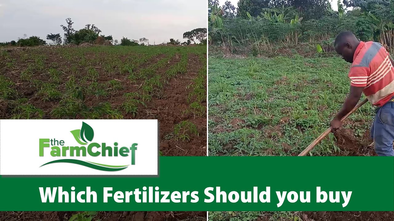 Benefits of applying artificial Fertilizers