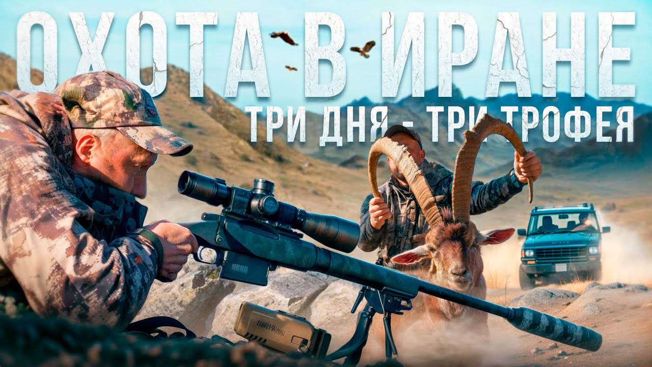 ДИНАМИЧНАЯ Охота в горах Ирана. Пустынный козерог и Керманский муфлон