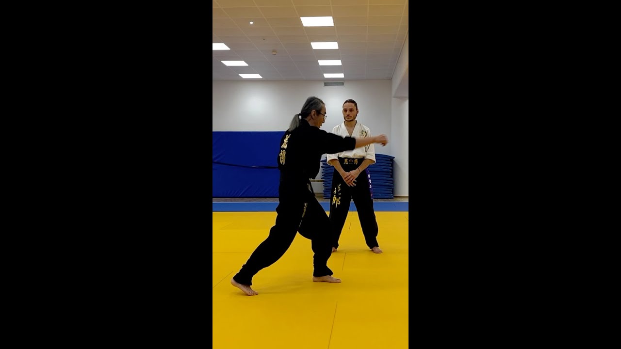 Teaching Beginners Kick Punch Combo on a Shield by Hwa Rang Do&reg; Grandmaster Taejoon Lee