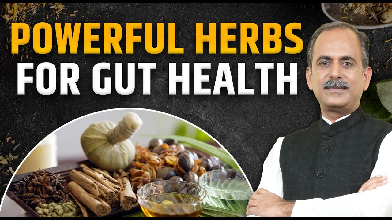Powerful Herbs | Gut Health | Acharya Manish Ji | HiiMS Therapy