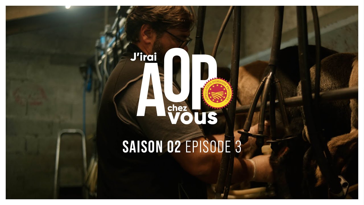 J'irai AOP chez vous - Episode 3 / Saison 3 Brocciu x Mont d’Or