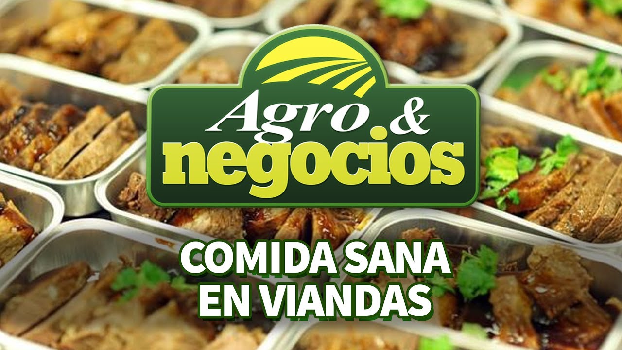 Comida sana en viandas
