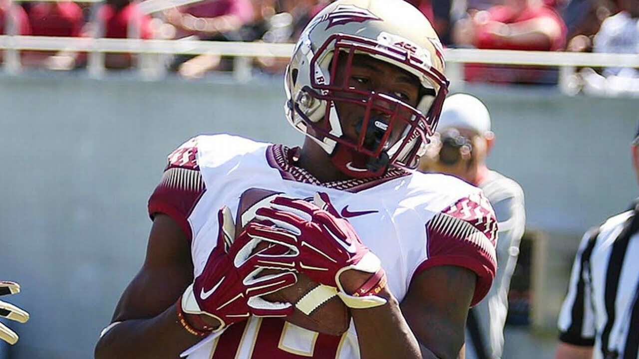 Auden Tate Highlights 2016 || Florida State WR || ᴴᴰ