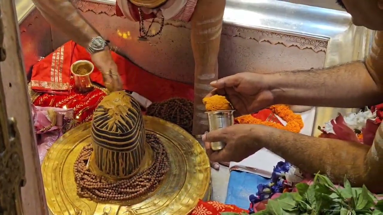 OM NAMAH SHIVAY #kashi #kashivishwanath #varanasi_kashi_banaras
