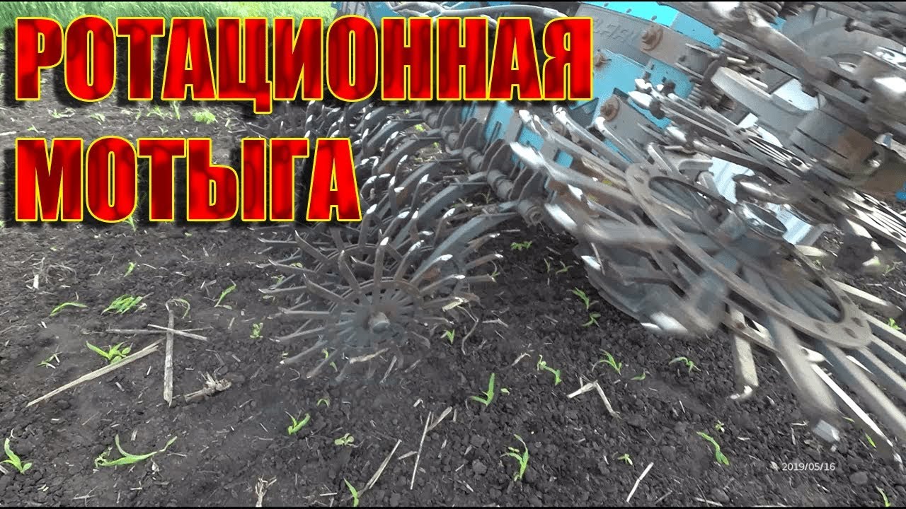 Работа ротационной мотыги на разных культурах(подсолнечник,кукуруза,соя)