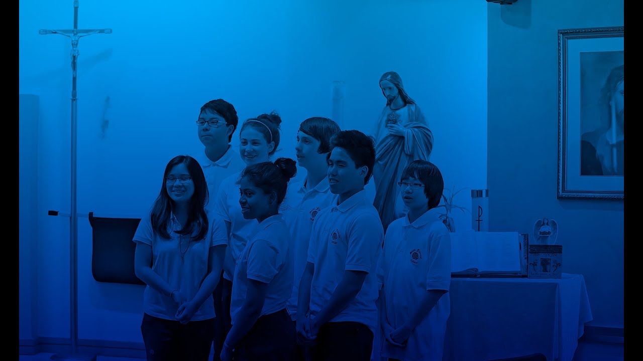 Direction of School Support: How to Support the English Separate (Catholic) School System