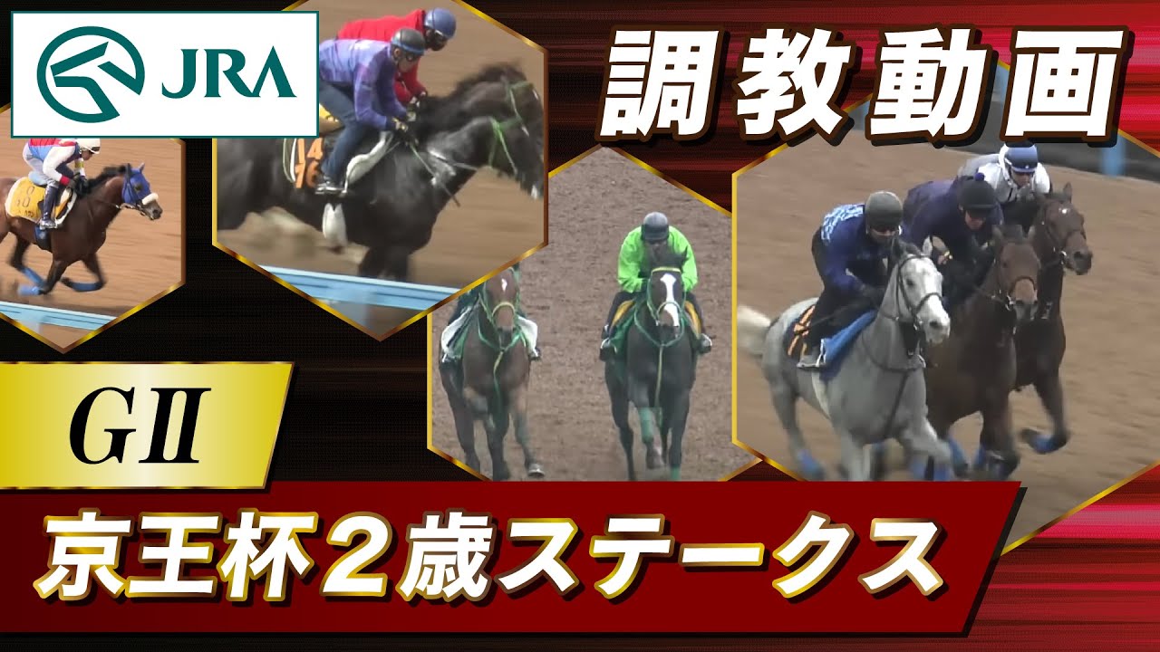 【調教動画】2025年 京王杯2歳ステークス｜JRA公式