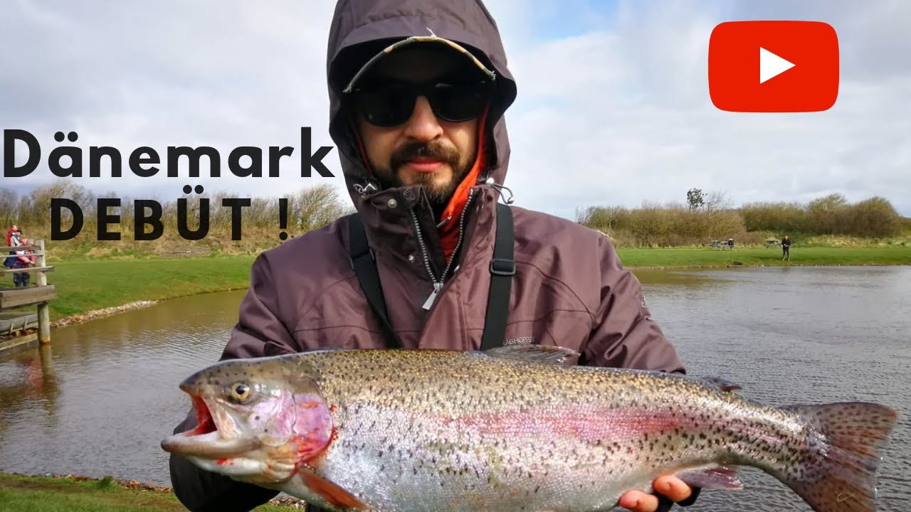 Lachsforelle auf Fishup Debüt in Dänemark Kampfstark!