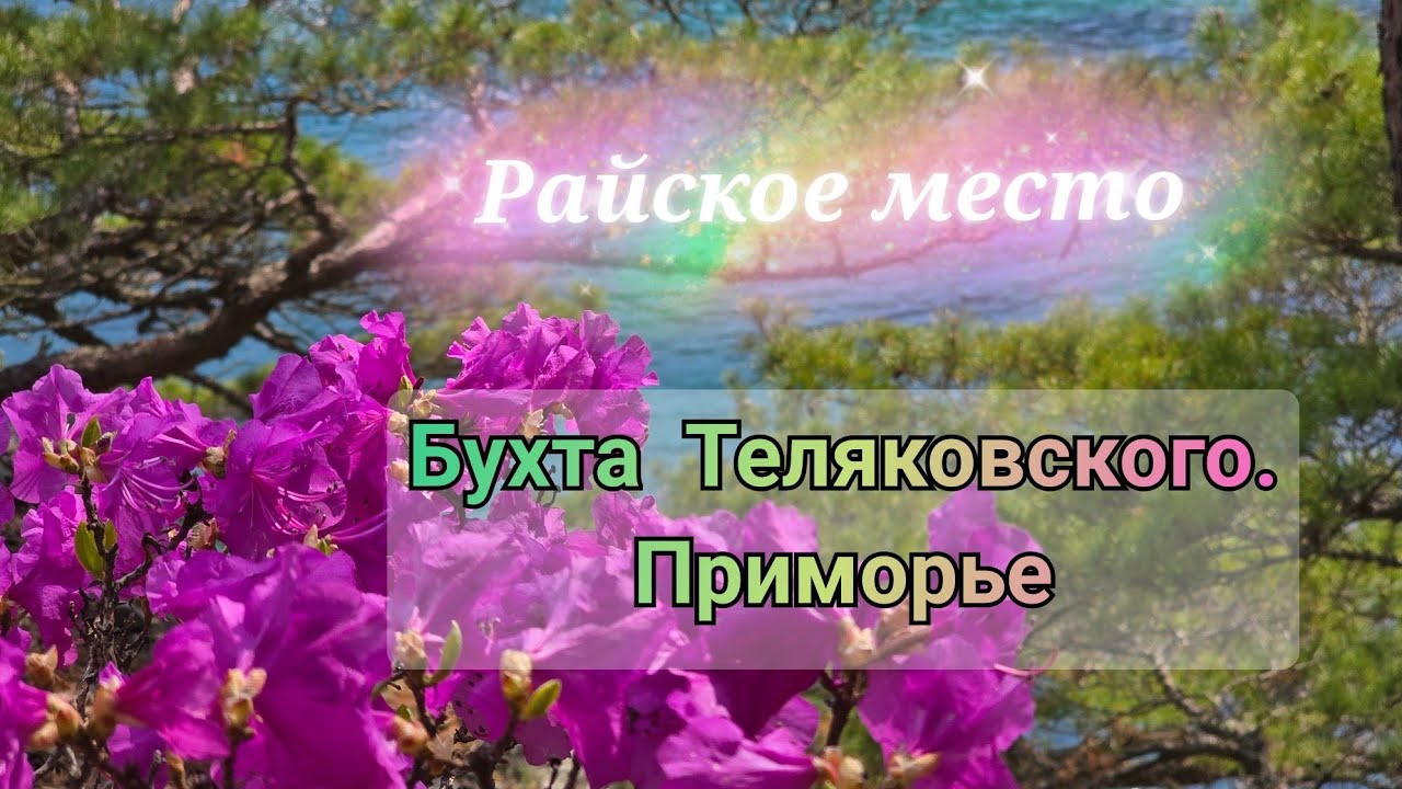 Путешествие в РАЙ//Приморье//Полуостров Гамова- бухта ТЕЛЯКОВСКОГО//Welcome в КРАСОТУ.