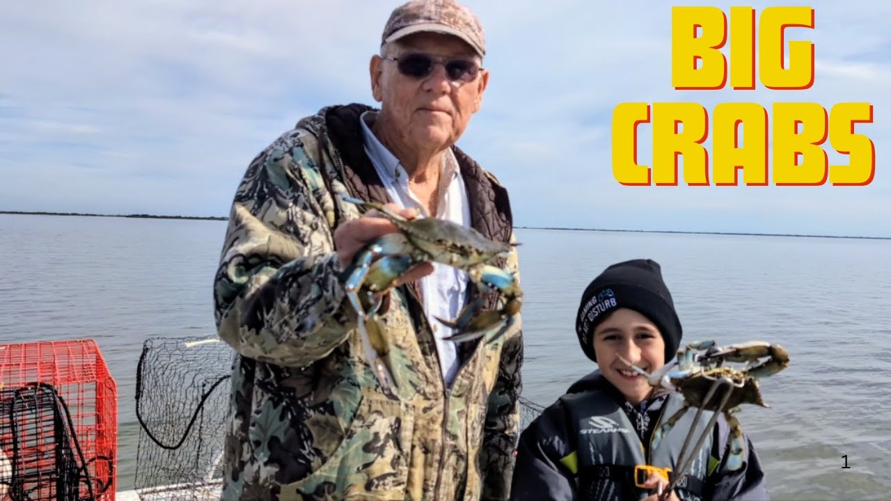 Not Many But Big Crabs