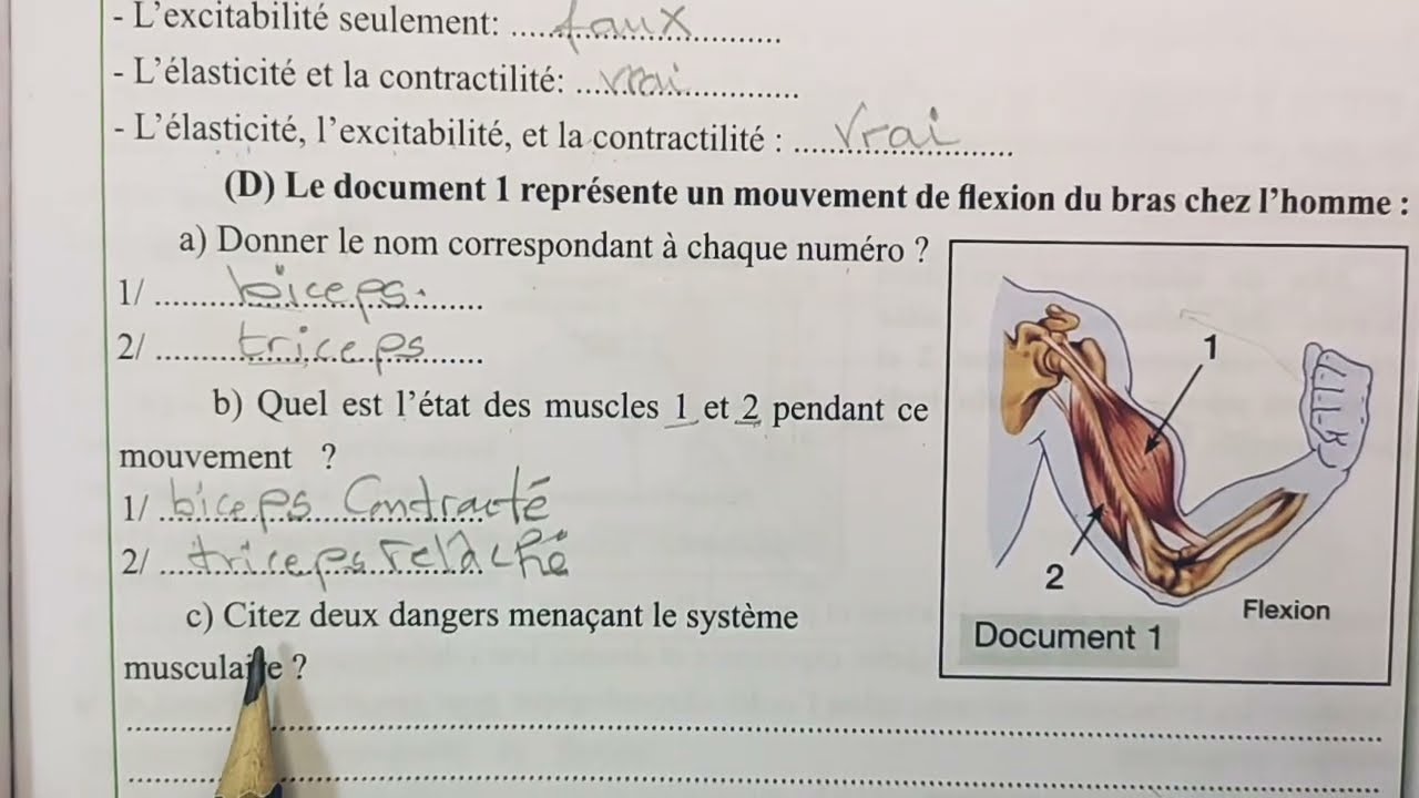 3 AC / SVT/ Système musculaire : Exercices / je teste me connaissances 