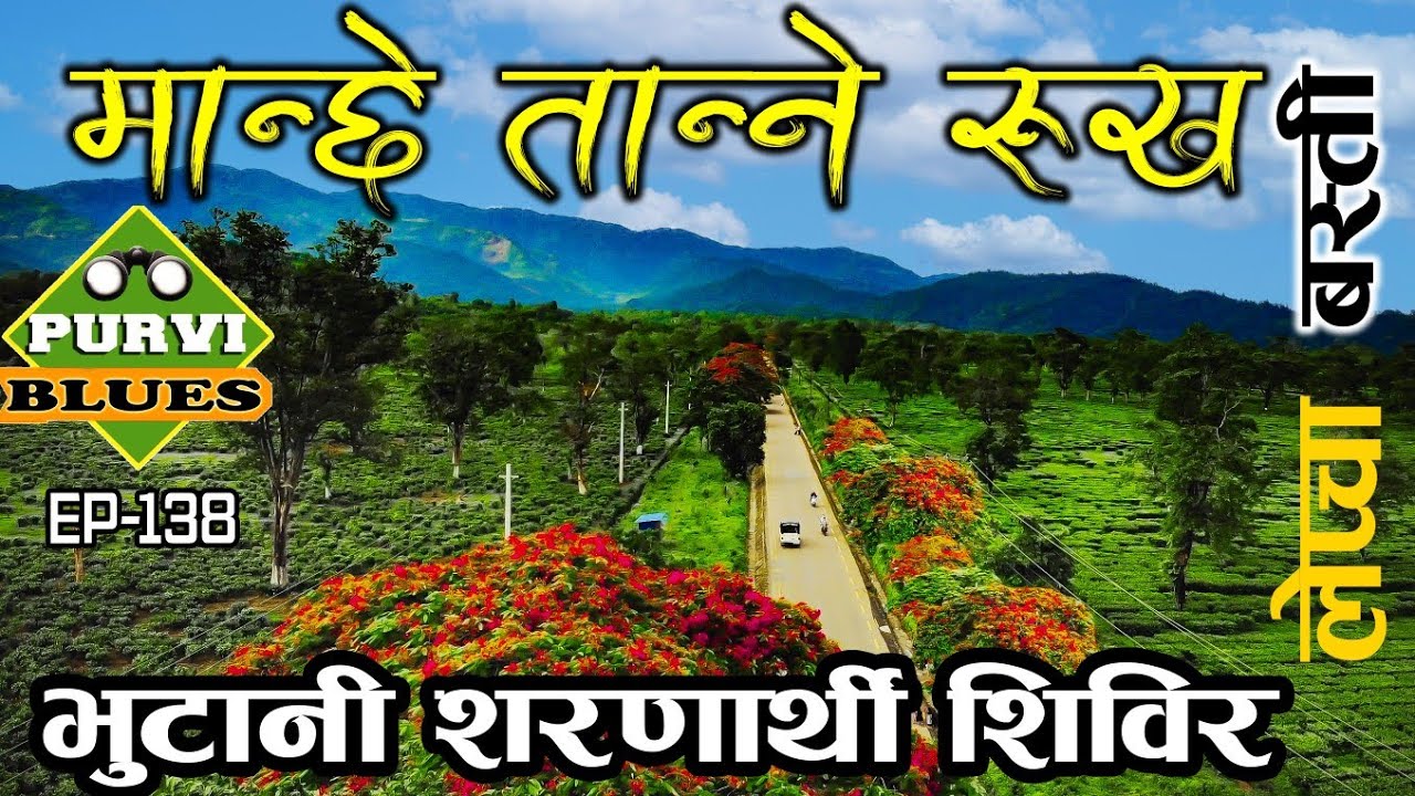अनौठो रूख || Bhutanese Refugee Camp || लेप्चा गाउँ || Wonderful Place of Eastern Nepal Buddhashanti